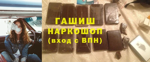 индика Каменногорск