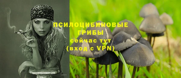 прущая мука Каменка