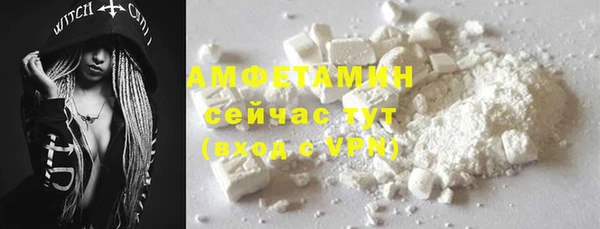 индика Каменногорск