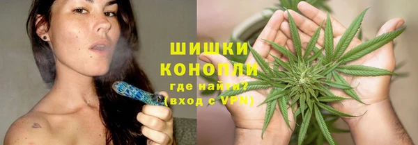 прущая мука Каменка