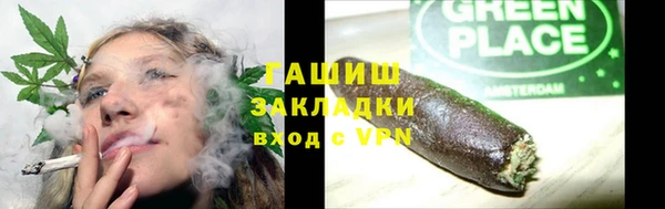 индика Каменногорск