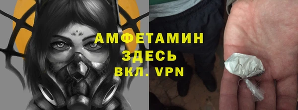 индика Каменногорск
