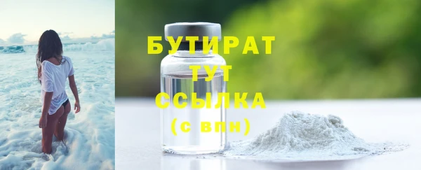 индика Каменногорск