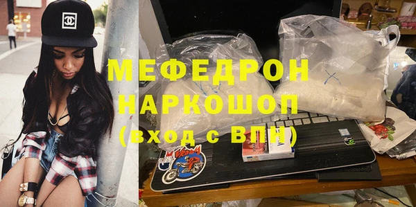 индика Каменногорск