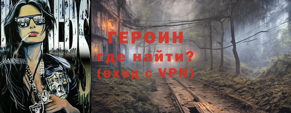индика Каменногорск