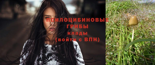 трава Каменск-Шахтинский