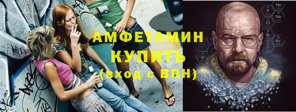 индика Каменногорск