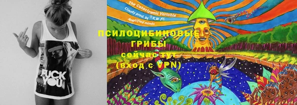 трава Каменск-Шахтинский