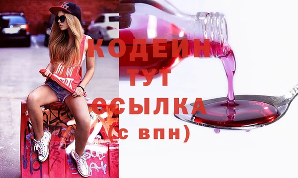 индика Каменногорск
