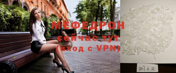 индика Каменногорск
