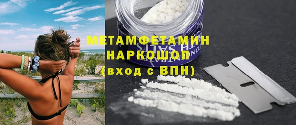 индика Каменногорск