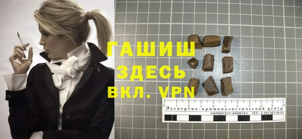 индика Каменногорск