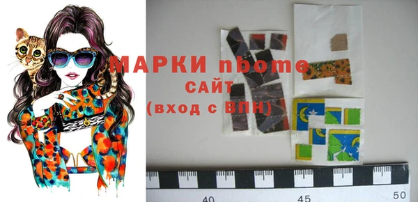 индика Каменногорск