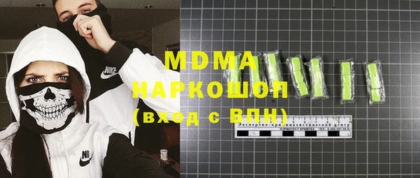 индика Каменногорск