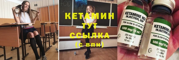 индика Каменногорск