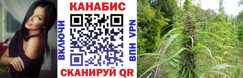 Бошки Шишки планчик  Купить закладки  Белово 